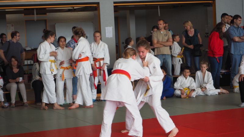 tl_files/judoka_stade/2015/Bilder/Bundesliga/Frauen_Maenner/2015 06 mareike.jpg